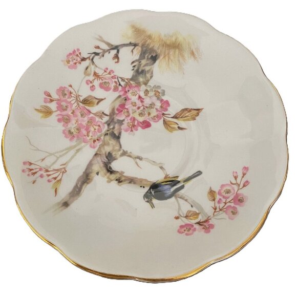 Vintage Queen Anne Bird in Cherry Blossom Tree Fine Bone China Cup Saucer Set - Picture 6 of 15
